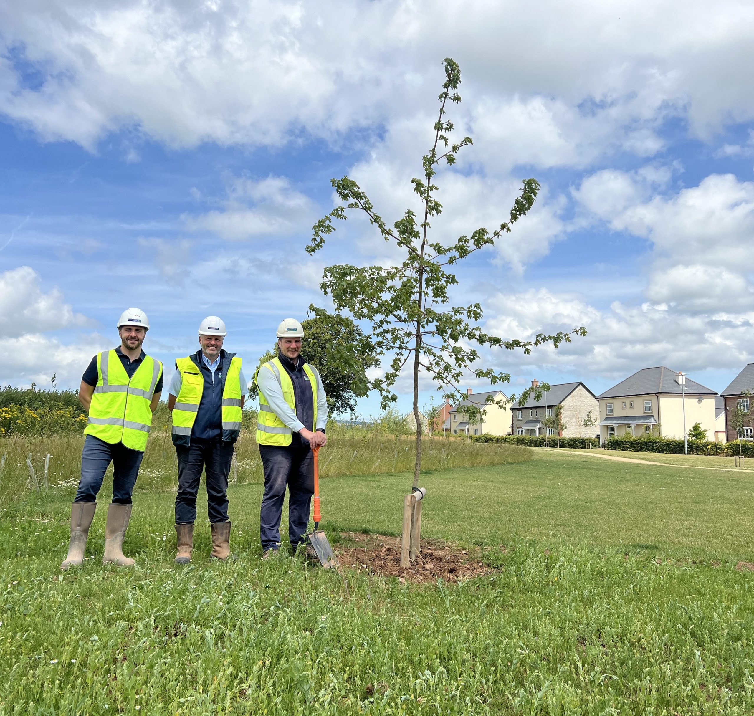 Summerfield Homes Create a Greener Future for Killams Park Residents